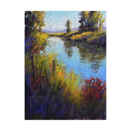 Alejandra Gos 'Looking Down The Slough' Canvas Art,35x47